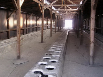 Auschwitz_04