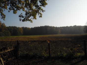 Panzerfahrschule_2011_15